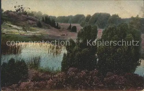 Lueneburger Heide Fischteich bei Inzmuehlen Kat. Walsrode