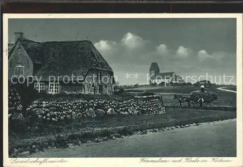 Keitum Sylt Friesenhaus mit Kirche Kat. Sylt Ost