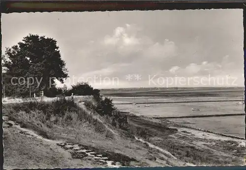 Keitum Sylt Partie am Watt Kat. Sylt Ost