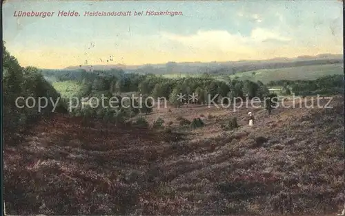 Lueneburger Heide Heidelandschaft Haesseringen Kat. Walsrode