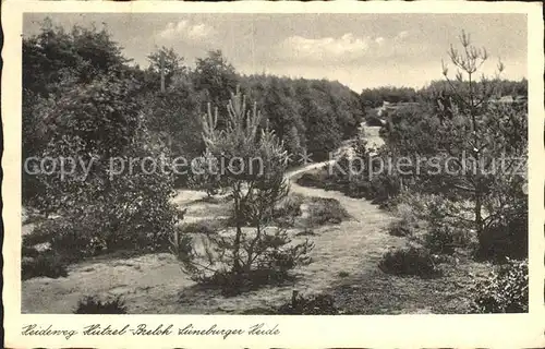 Lueneburger Heide Heideweg Huetzel Prelok Kat. Walsrode