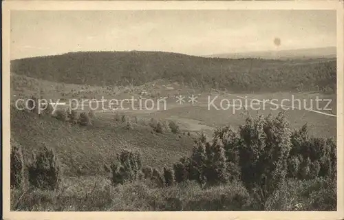 Lueneburger Heide Totengrund in Wilsede Kat. Walsrode