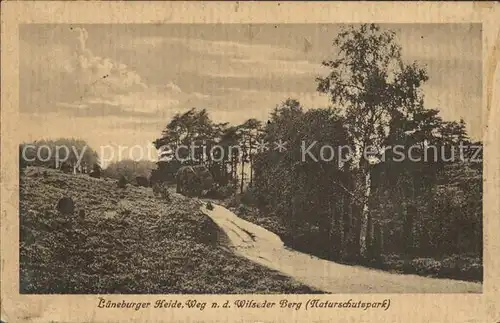 Lueneburger Heide Weg zum Wilseder Berg Kat. Walsrode