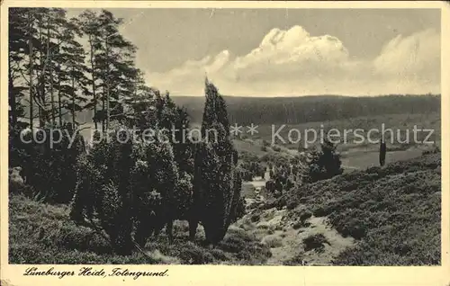 Lueneburger Heide Totengrund Kat. Walsrode