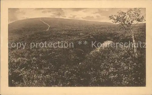 Lueneburger Heide Wilseder Berg Kat. Walsrode