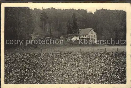 Polenztal Waldmuehle  Kat. Hohnstein