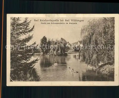 Bad Reinhardsquelle Schwanenteich im Kurpark