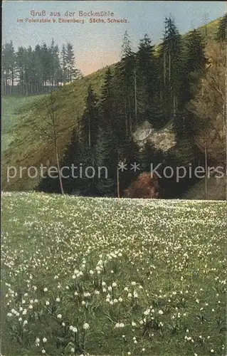 Polenztal Bockmuehle bei Ehrenberg Kat. Hohnstein