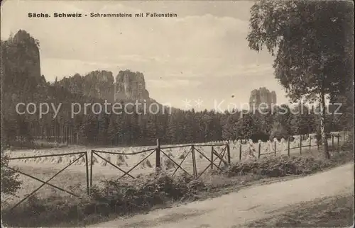 Schrammsteine mit Falkenstein