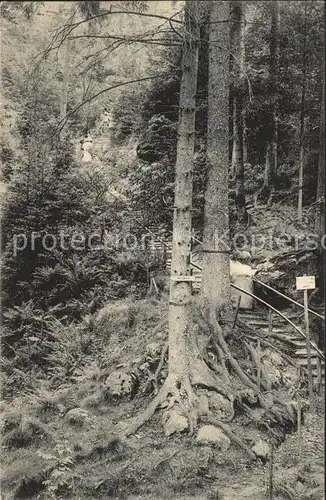 Saechsische Schweiz Aufgang zu den Schwedenloechern Kat. Rathen Sachsen