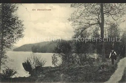 Werbellinsee Altenhof Uferweg Kat. Schorfheide