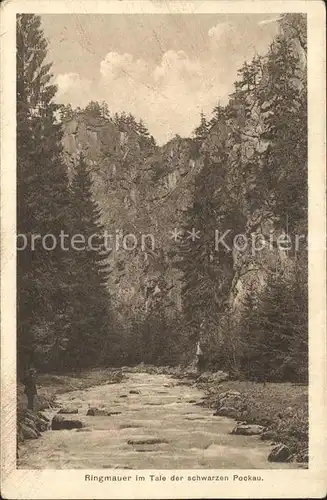 Zoeblitz Sachsen Ringmauer im Tale der schwarzen Pockau Felsen Erzgebirge Kat. Zoeblitz