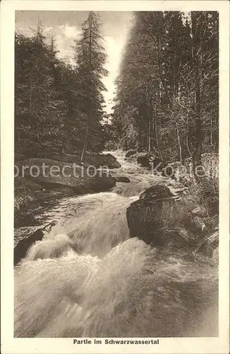 Zoeblitz Sachsen Partie im Schwarzwassertal Kat. Zoeblitz