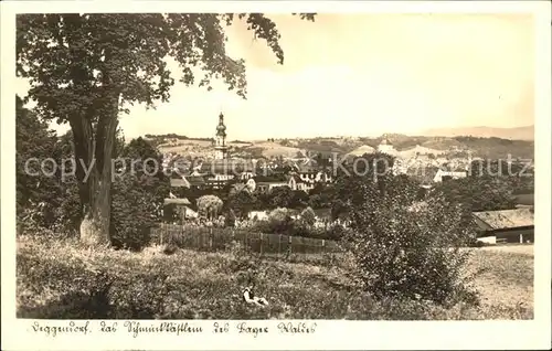 Deggendorf Donau Panorama Kat. Deggendorf