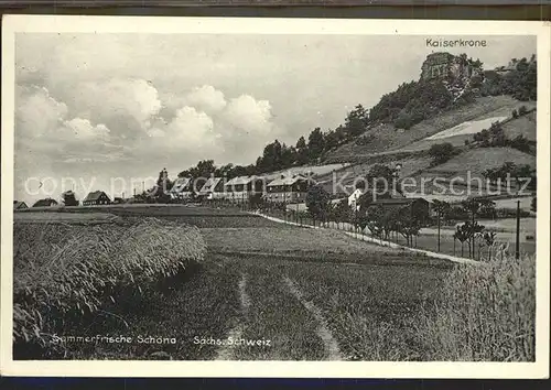 Schoena Elbe mit Kaiserkrone Kat. Reinhardtsdorf Schoena