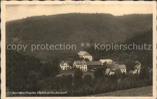 Hammerleubsdorf Panorama Sommerfrische Gasthof Baumann Kat. Leubsdorf Sachsen