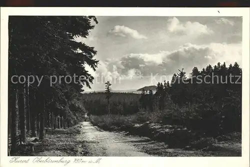 Oberbaerenburg Waldweg /  /