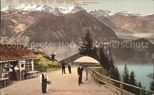 Rigi Kaenzeli mit Berner Hochalpen / Rigi Kaenzeli /Bz. Schwyz