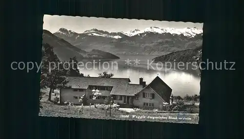 Weggis LU Aargauisches Blaukreuzheim Vierwaldstaettersee Alpenpanorama Kat. Weggis