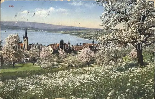 Zug Kanton Kirche Kat. Zug