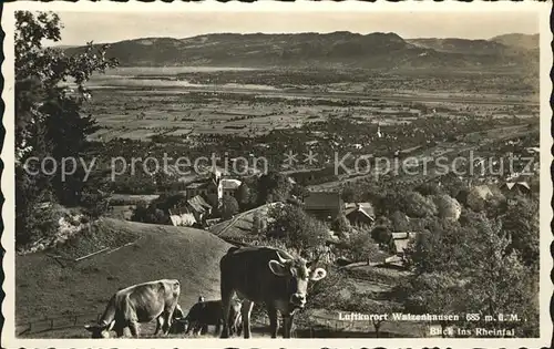 Walzenhausen AR Blick ins Rheintal Kat. Walzenhausen