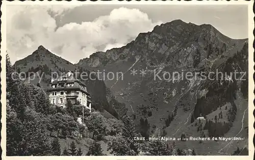 Caux VD Hotel Alpina Rochers de Naye Kat. Caux