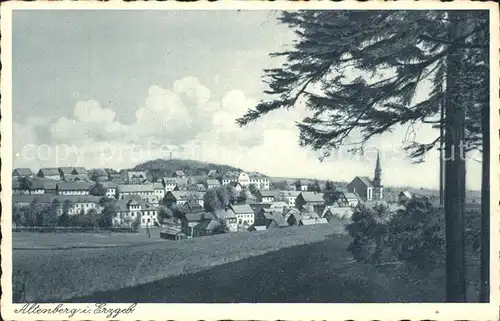 Altenberg Erzgebirge Ortsansicht Kat. Geising