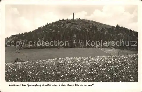 Altenberg Erzgebirge Geisingberg mit Turm Kat. Geising