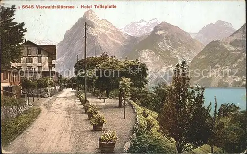 Vierwaldstaettersee SZ Hotel Tellsplatte Kat. Brunnen