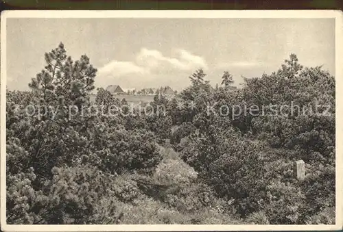 Georgenfeld Hochmoor Kat. Zinnwald Georgenfeld