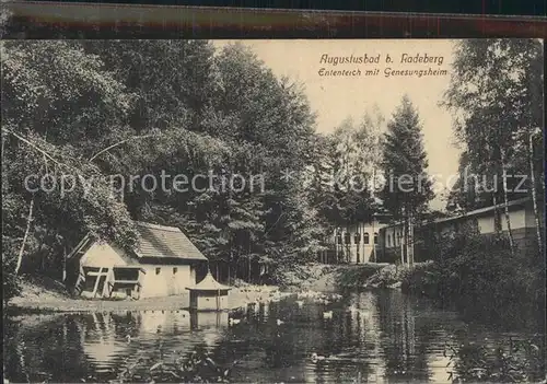 Augustusbad Liegau Ententeich und Genesungsheim