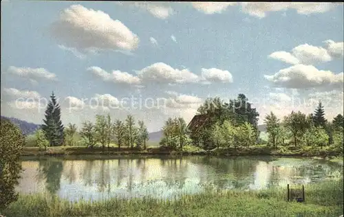 Altenberg Erzgebirge Rauschermuehlen Teich Photochromie Serie IV Nr 136 Kat. Geising