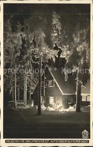 Altenberg Erzgebirge Waldschaenke Raupennest im Winter Nachtaufnahme Kat. Geising