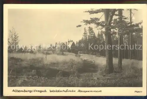 Altenberg Erzgebirge Waldschaenke Raupennest Kat. Geising