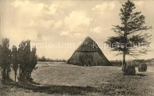 Lueneburger Heide Nieder Haverbeck (Naturschutzgebiet) Kat. Walsrode