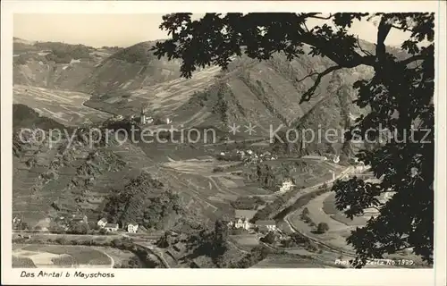 Foto Zeitz F.G. Nr. 1339 Ahrtal Mayschoss  Kat. Berchtesgaden