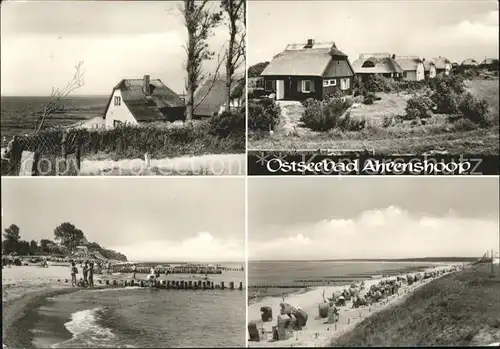 Ahrenshoop Ostseebad Strand Reetdachhaeuser / Ahrenshoop /Nordvorpommern LKR