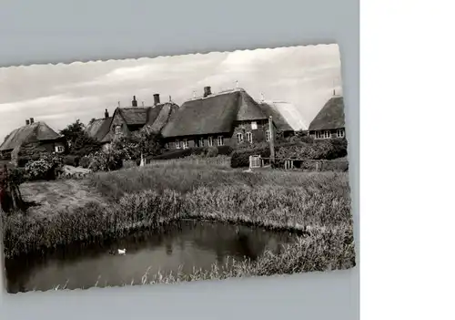 Hooge Hallig  / Hooge /Nordfriesland LKR