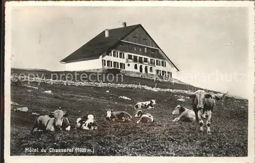 Chasseral BE Hotel du Chasseral Kuehe Kat. Chasseral