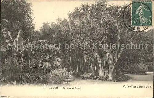 Alger Algerien Jardin d'Essai Stempel auf AK / Algier Algerien /