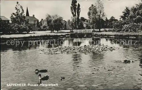 Sappemeer Prinses Margrietpark Ententeich