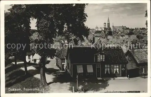 Dokkum Panorama