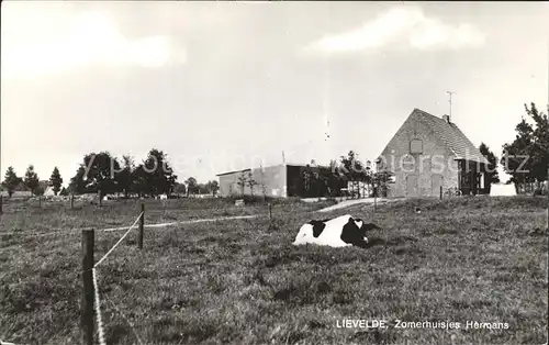 Lievelde Zomerhuisjes Hermans Kuh