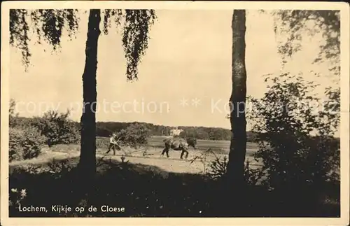 Lochem Kijkje op de Cloese Landwirtschaft