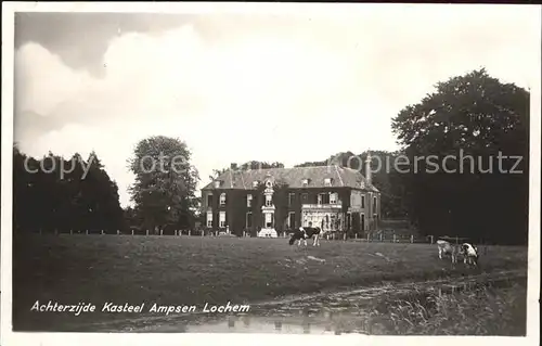 Lochem Achterzijde Kasteel Ampsen Schloss Kuehe