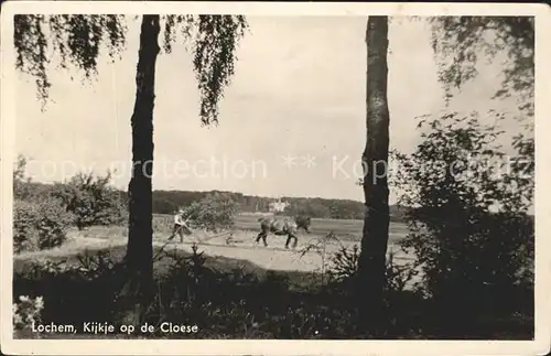 Lochem Kijkje op de Cloese Landwirtschaft