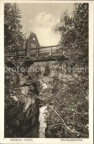 Bodetal Harz Teufelsbruecke Kat. Treseburg