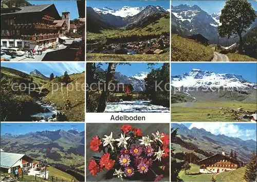 Adelboden Blumen Kirche Berghaus Alpen Eiger Kat. Adelboden