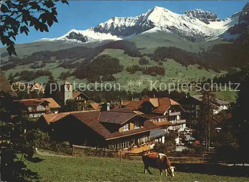 Adelboden Bonderspitz Kleinlohner Bonderchrinde Kuehe Kat. Adelboden