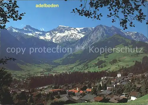 Adelboden Steghorn Tierhoernli Wildstrubel Fitzer Ammertenhorn Kat. Adelboden